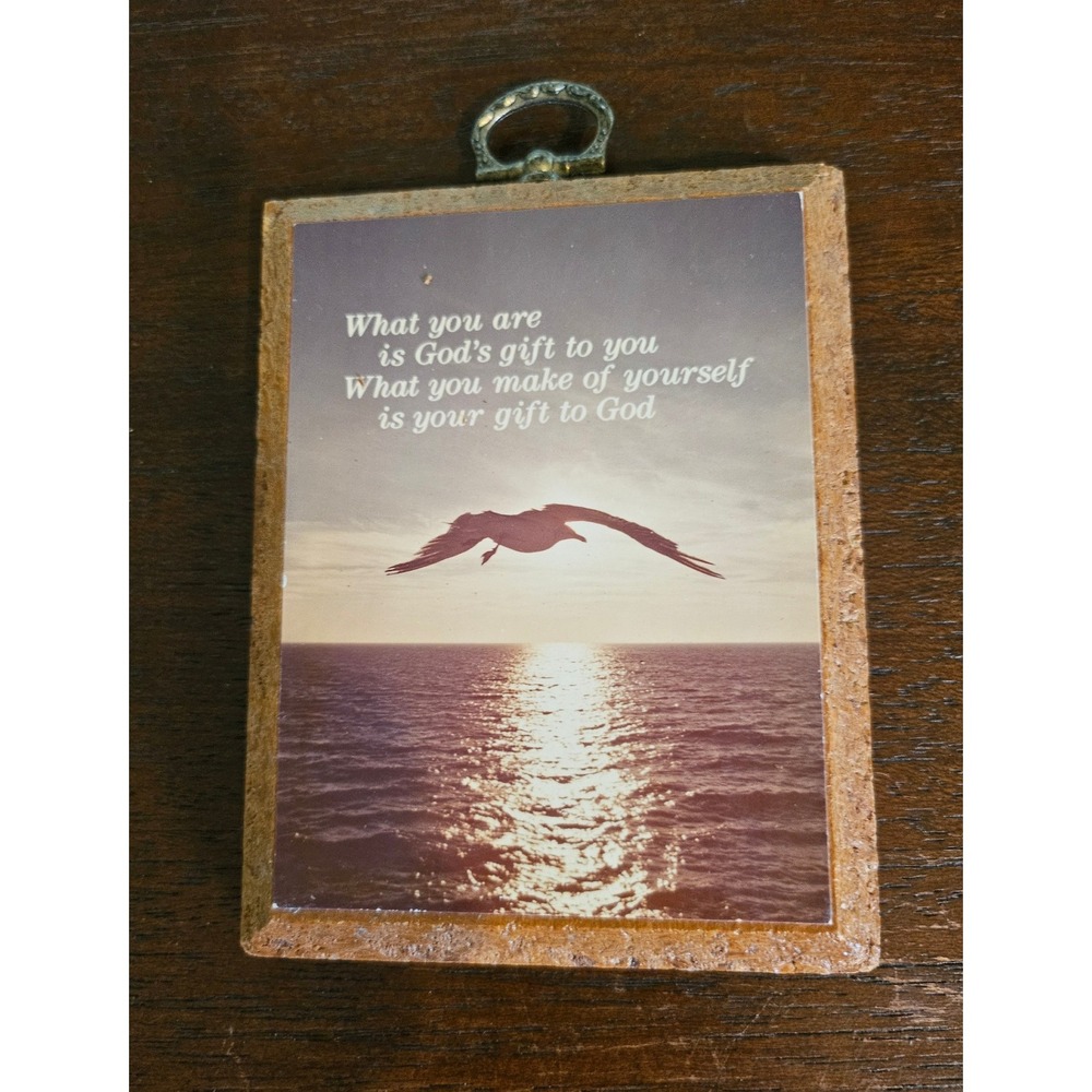 Paula's Impressions Wall Plaque Religious Brown 1982 Seagull Sunset MI-27